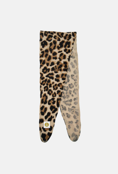 Windboard Leo A